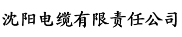 迅雷传媒电缆厂logo